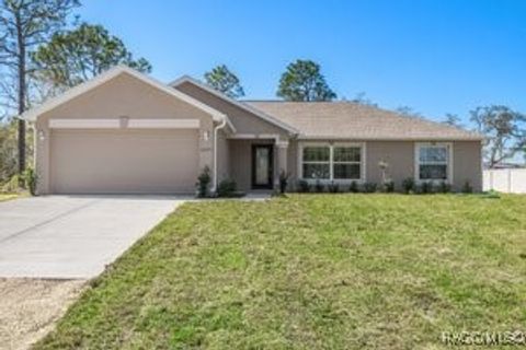 A home in Citrus Springs