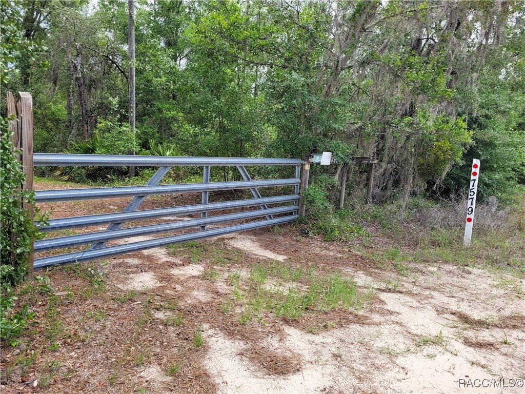 7579 W Gum Street, Crystal River, Florida image 3