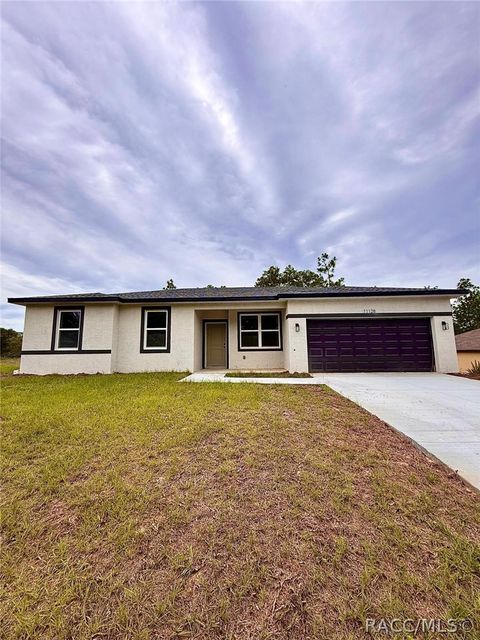 Homes For Sale - 11128 N G Martinelli Boulevard<br/> Citrus Springs, FL 34433