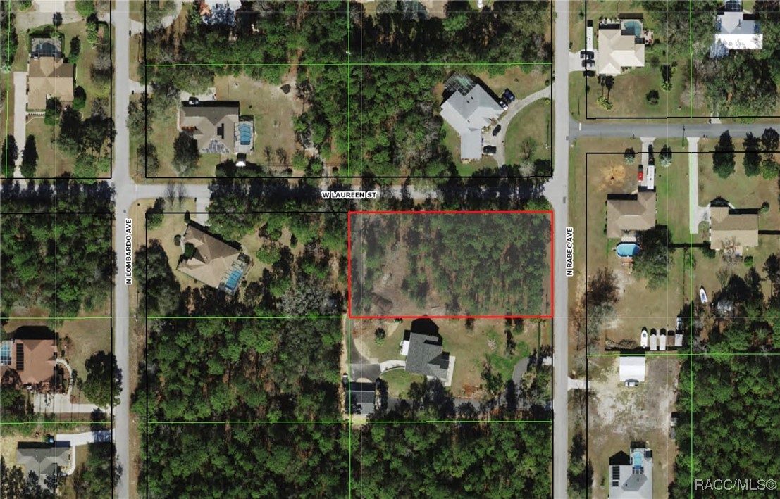 1420 N Rabeck Avenue, Lecanto, Florida image 1