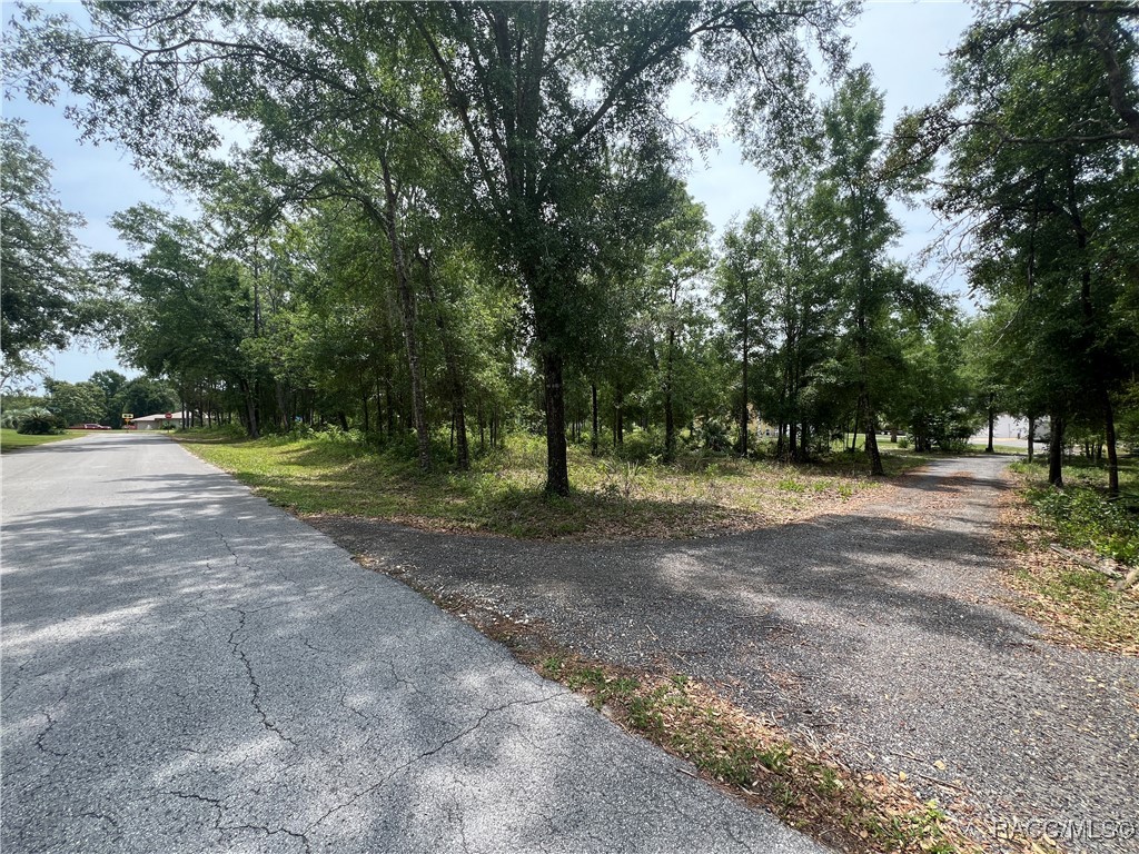 1420 N Rabeck Avenue, Lecanto, Florida image 8
