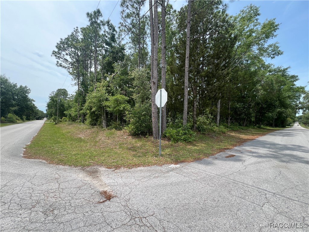 1420 N Rabeck Avenue, Lecanto, Florida image 2