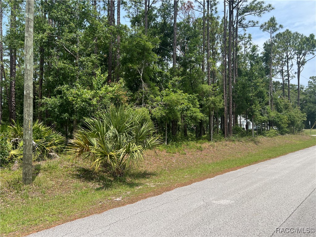 1420 N Rabeck Avenue, Lecanto, Florida image 10