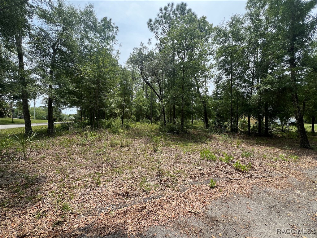 1420 N Rabeck Avenue, Lecanto, Florida image 9