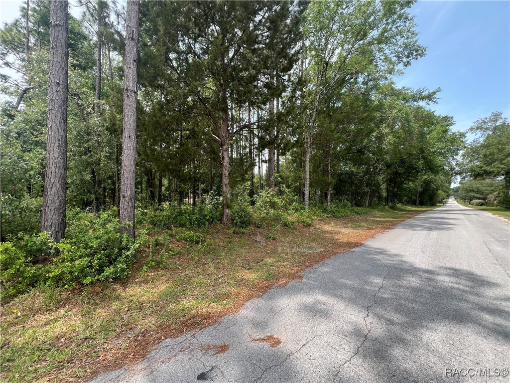 1420 N Rabeck Avenue, Lecanto, Florida image 7