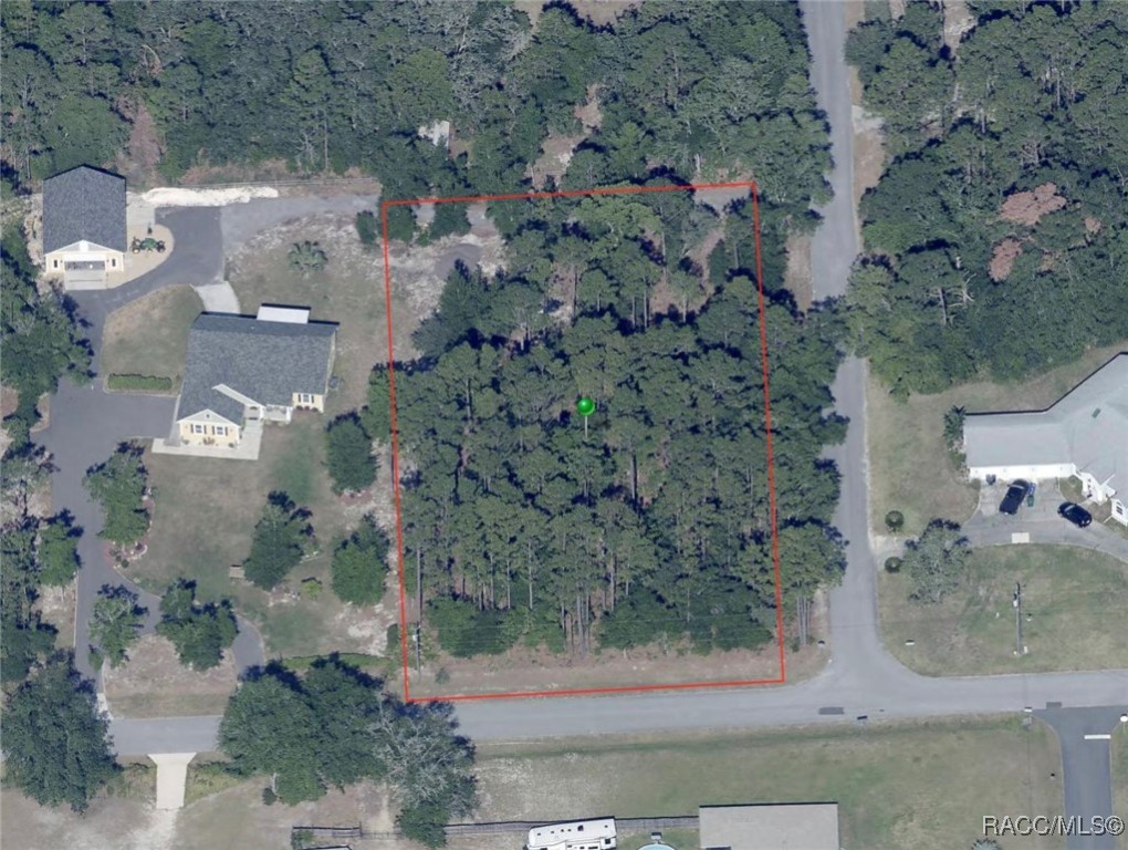 1420 N Rabeck Avenue, Lecanto, Florida image 3