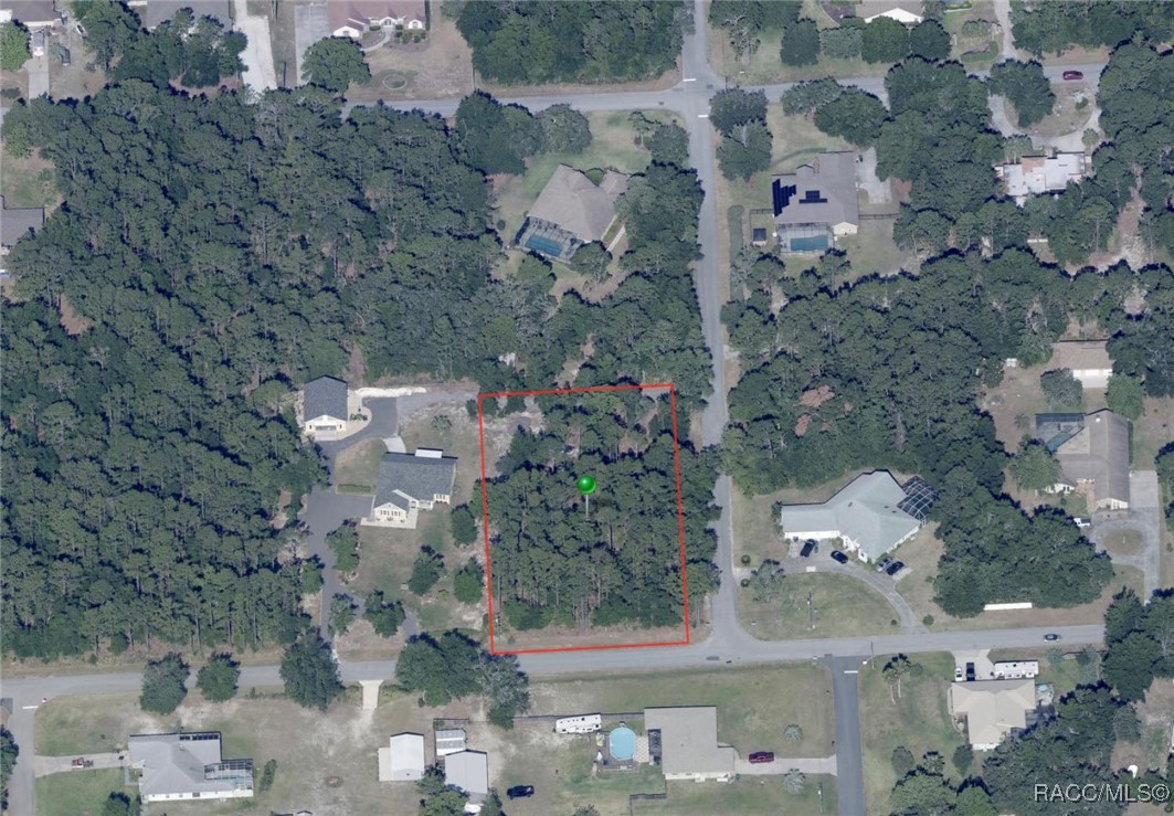 1420 N Rabeck Avenue, Lecanto, Florida image 4