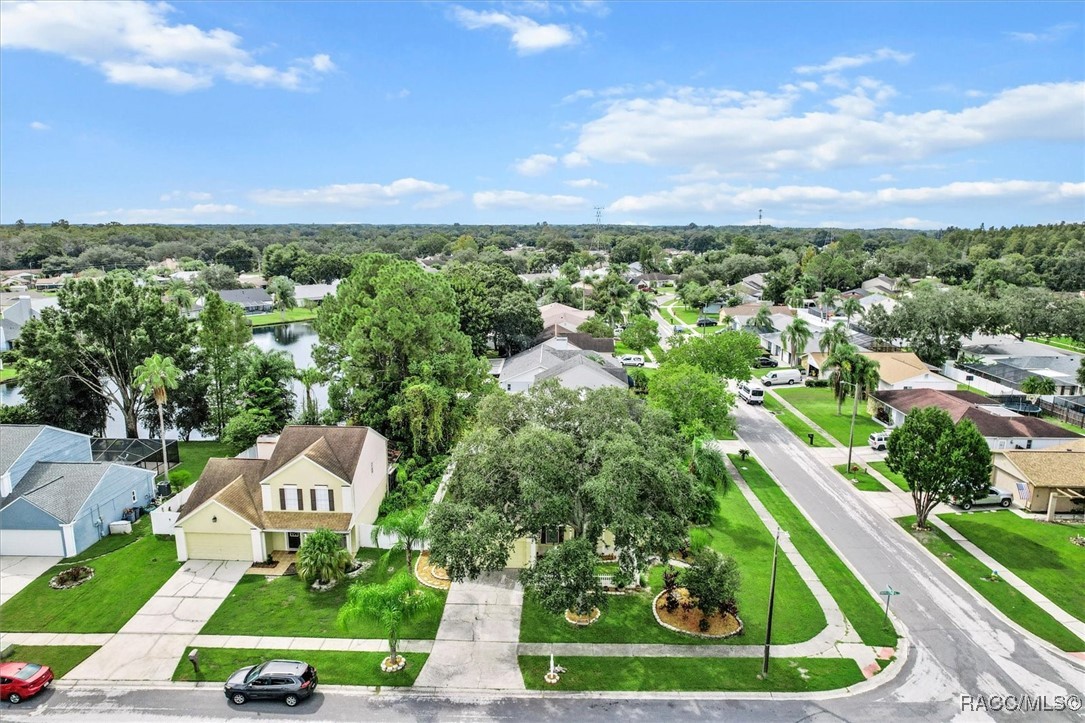 16201 Country Crossing Drive, Tampa, Florida image 38