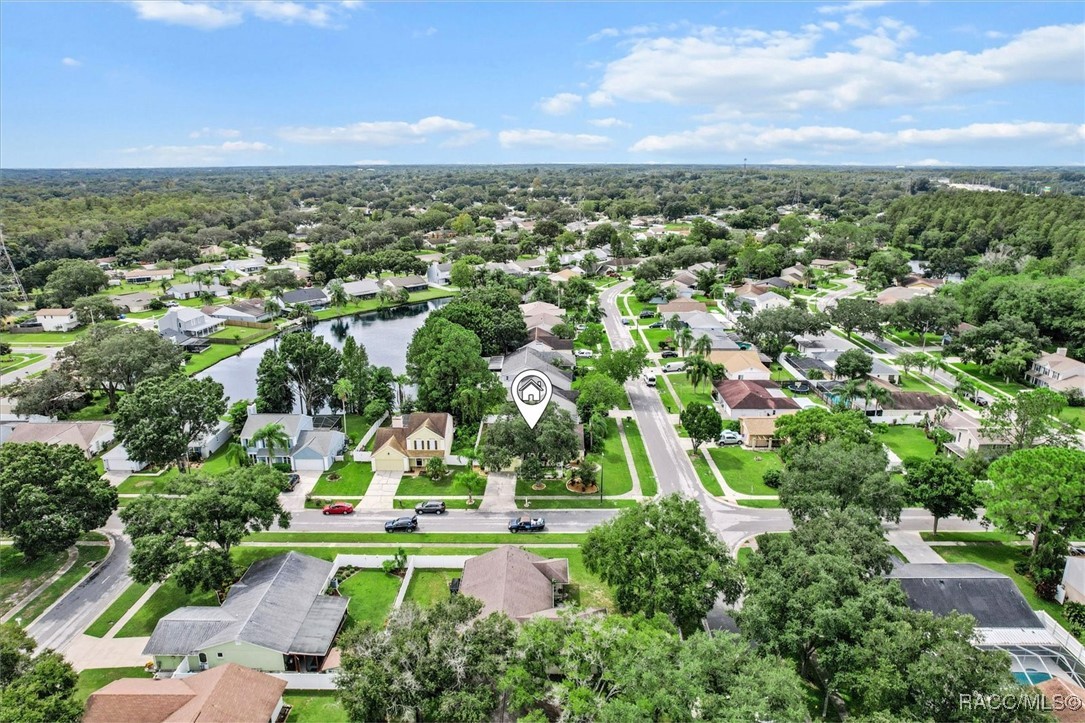 16201 Country Crossing Drive, Tampa, Florida image 40