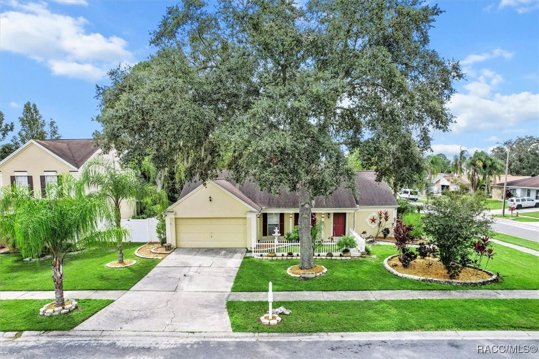 16201 Country Crossing Drive, Tampa, Florida image 37