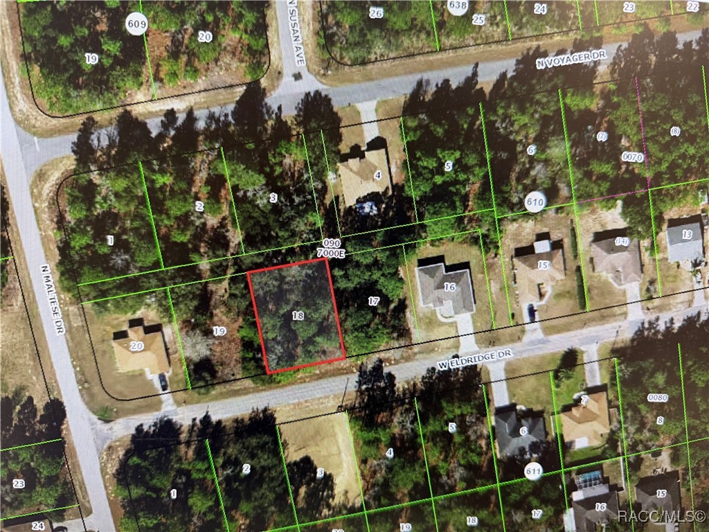 3405 W Eldridge Drive, Citrus Springs, New York image 1