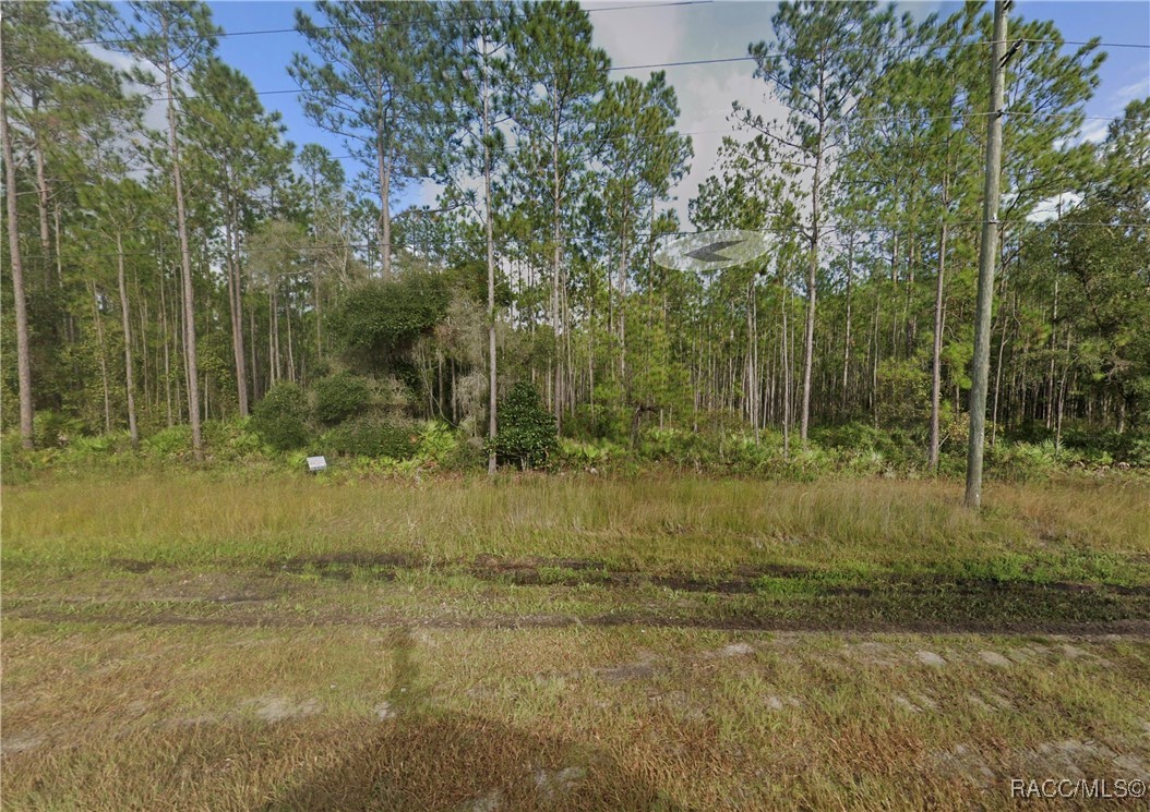 County Road 315, Interlachen, Florida image 1