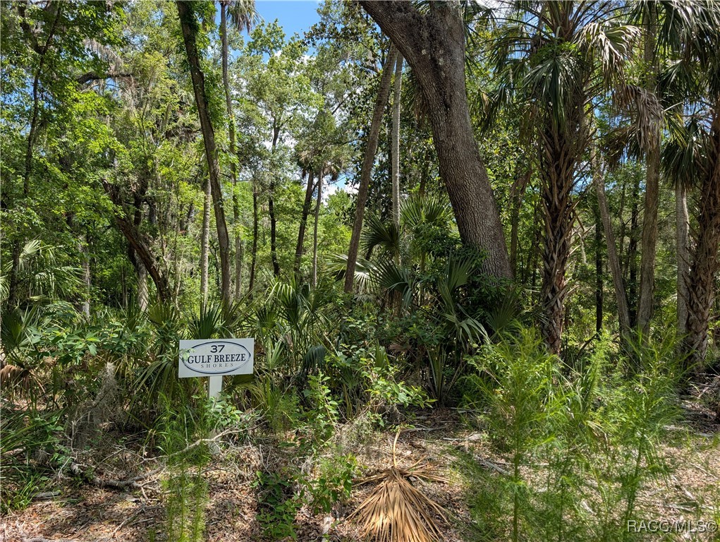 13159 W Gulf Shores Street