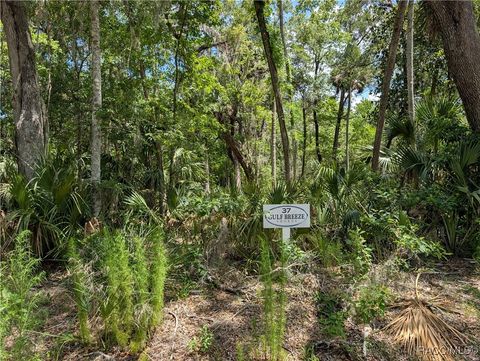 13159 W Gulf Shores Street Inglis FL 34449