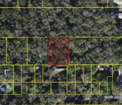 Vacant Land For Sale - 9436 E Sleepy Oak Court<br/> Inverness, FL 34453