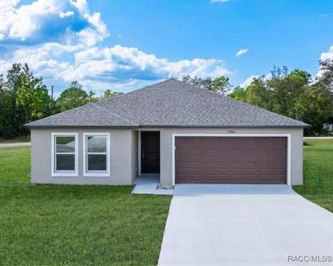 A home in Citrus Springs