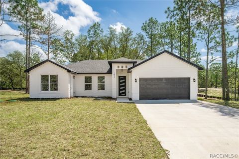 Homes For Sale - 9609 N Vaughn Drive<br/> Citrus County, Citrus Springs, FL 34433