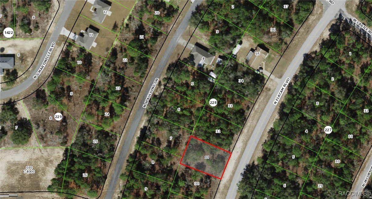 10264 N Elkcam Boulevard, Citrus Springs, New York image 4
