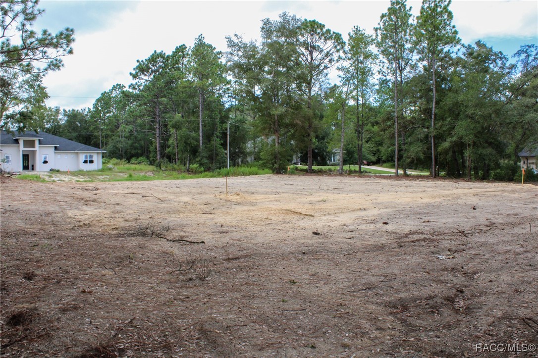 2419 W Axelwood Drive