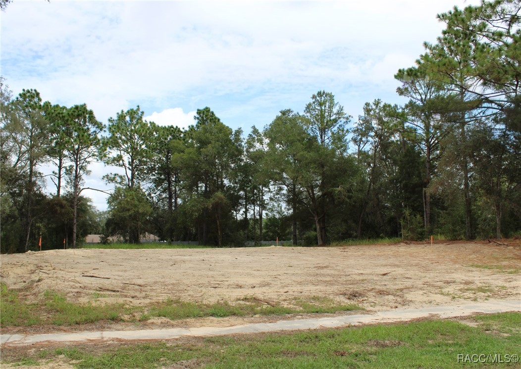 2419 W Axelwood Drive