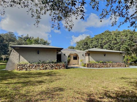 A home in Hernando