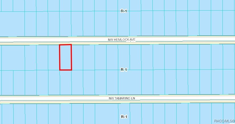 0000 NW Hemlock Unit #010 Avenue, Dunnellon, Florida image 2