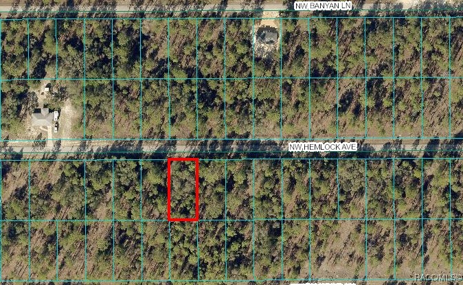 0000 NW Hemlock Unit #010 Avenue, Dunnellon, Florida image 1