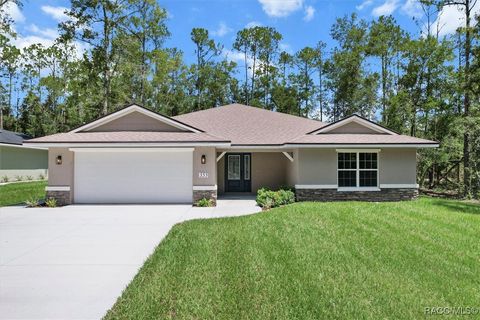 353 E Enfield Lane Citrus Springs FL 34434
