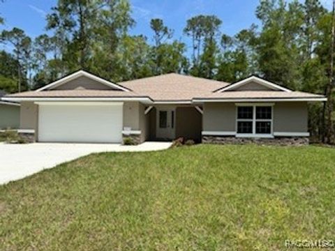 353 E Enfield Lane Citrus Springs FL 34434