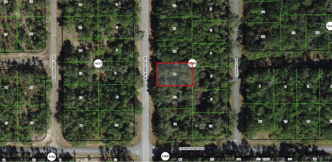 9085 N Alameda Drive, Dunnellon, Florida image 4