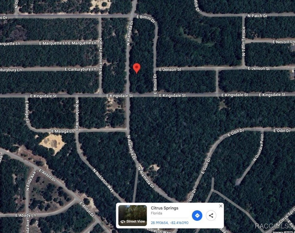 9085 N Alameda Drive, Dunnellon, Florida image 1