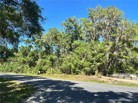 9319 S Florida Avenue Floral City FL 34436