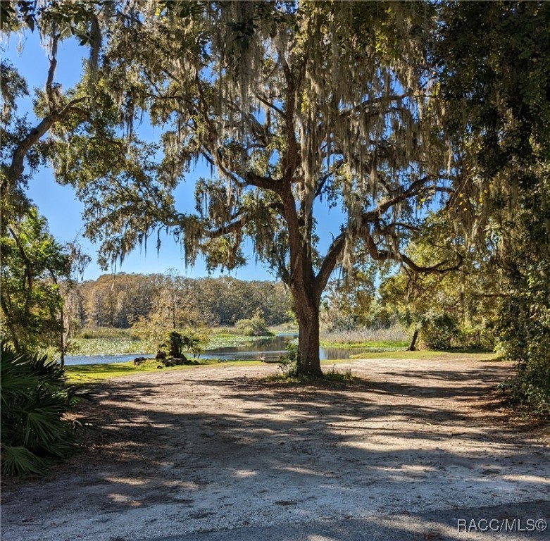 8 N Loch Haven Drive, Inverness, Florida image 30