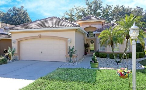 A home in Hernando