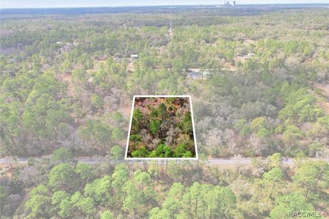 Vacant Land For Sale - 9568 N Dawnflower Avenue<br/> Citrus County, Crystal River, FL 34428