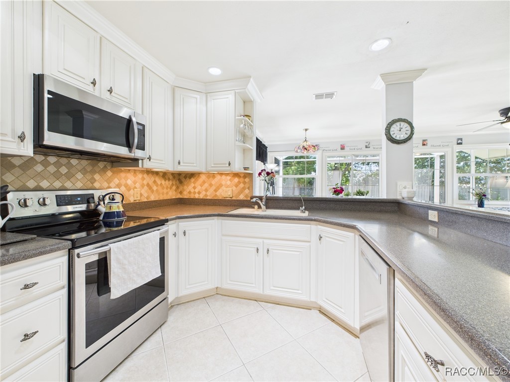 2454 N Brentwood Circle #418, Lecanto, New York image 10