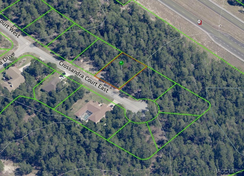 7 Crossandra Court, Homosassa, New York image 3