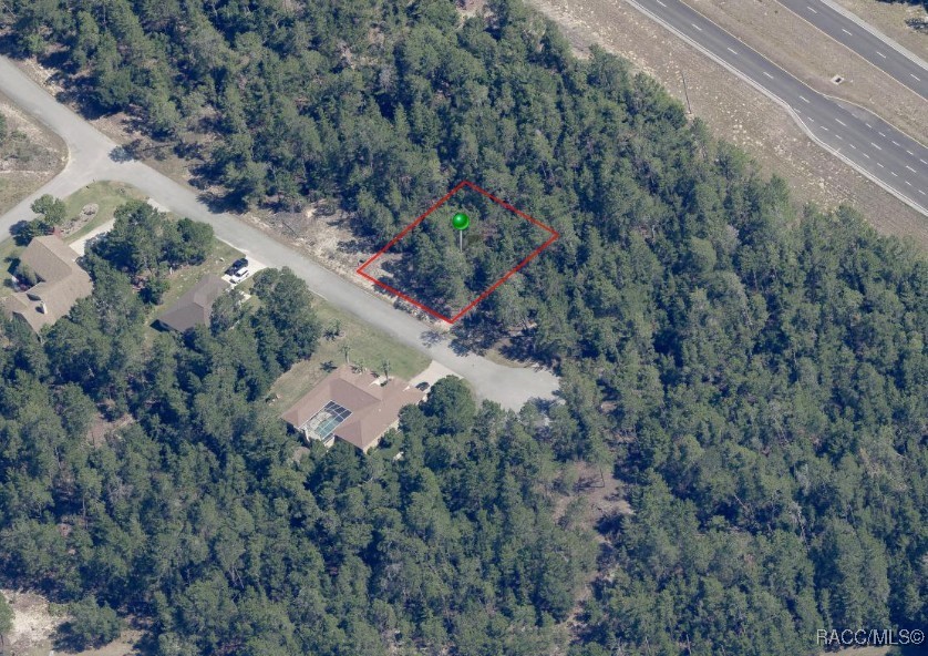7 Crossandra Court, Homosassa, New York image 2