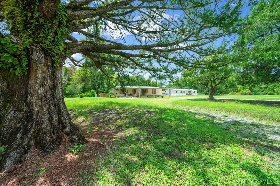 8356 W Tawny Rose Lane, Crystal River, Florida image 36