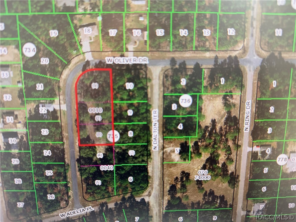 Photo 1 of 1 — 1930 W Oliver Drive, Citrus Springs, FL 34434