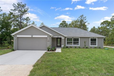 A home in Citrus Springs