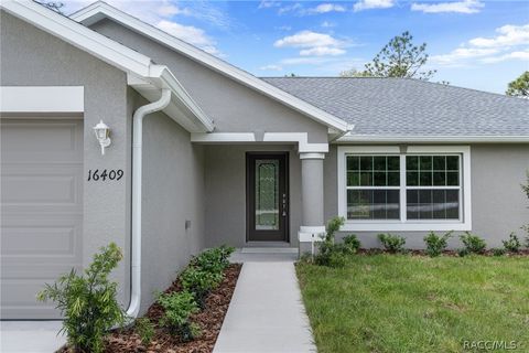 A home in Citrus Springs