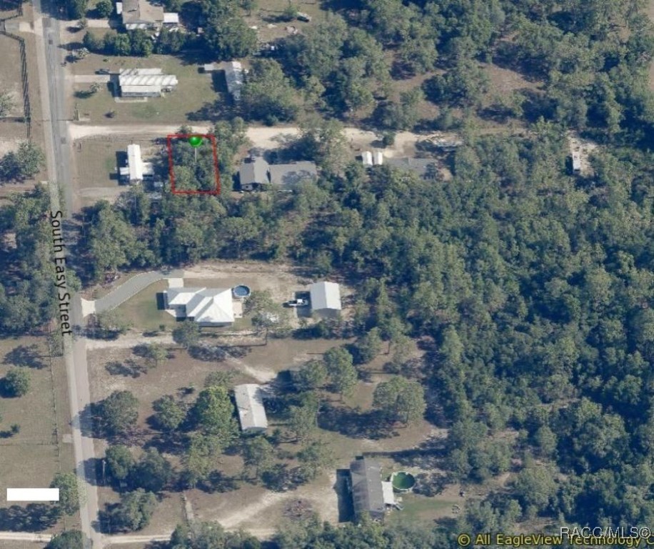 1224 W Miracle Court, Lecanto, Florida image 1