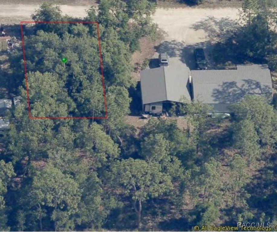 1224 W Miracle Court, Lecanto, Florida image 2