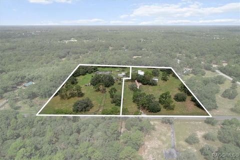 5520 S Pine Tree Point Lecanto FL 34461