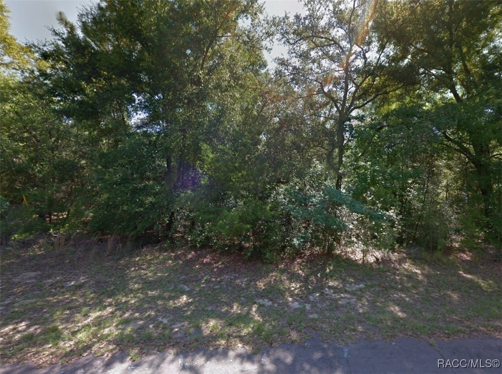2031 W Beach Plum Drive, Citrus Springs, New York image 4
