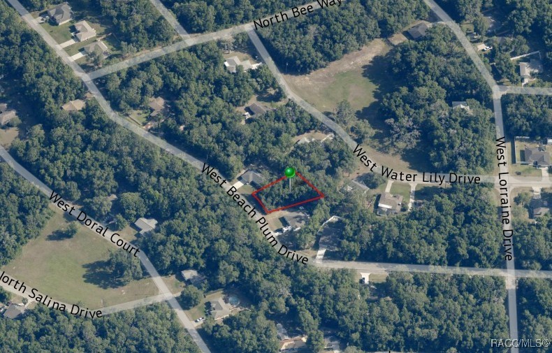 2031 W Beach Plum Drive, Citrus Springs, New York image 3