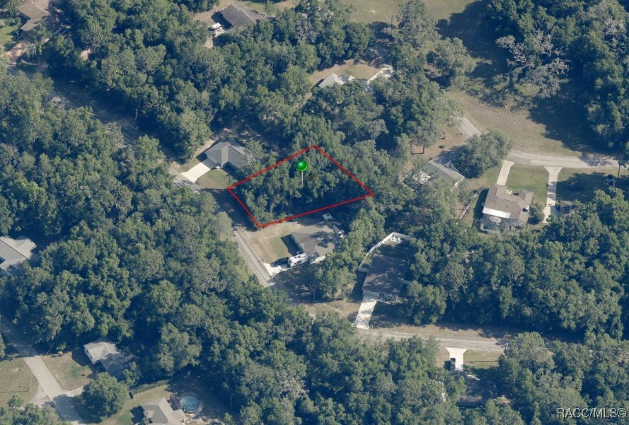 2031 W Beach Plum Drive, Citrus Springs, New York image 2