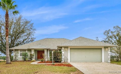2236 N Brentwood Circle Lecanto FL 34461