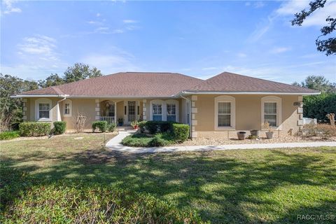 A home in Hernando